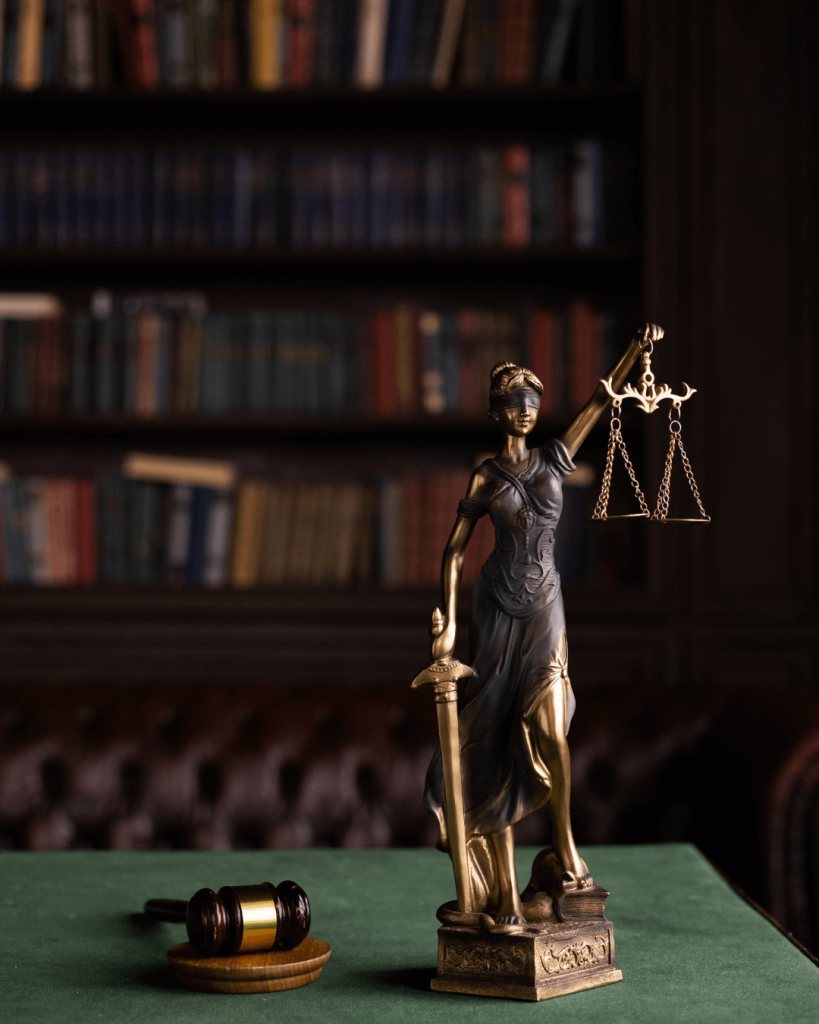 O que é o Princípio de Estoppel no Direito Internacional? Entenda sua Importância e Aplicações 6 Princípio de Estoppel no Direito Internacional
