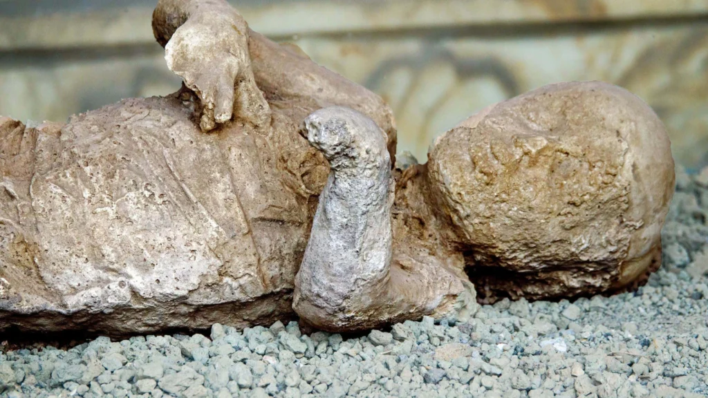 Vítimas de Pompeia usavam roupas de lã pesada, estudo da Universidade de Valencia desafia data tradicional da erupção e reabre debate sobre 24 de agosto de 79 d.C. 11 news 27846 1766076025