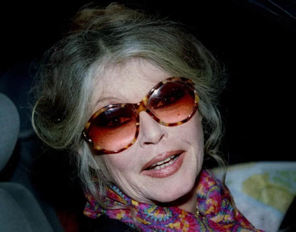 Brigitte Bardot morre aos 91 anos, ícone do cinema francês e ativista dos animais, legado entre 'E Deus Criou a Mulher', aposentadoria precoce e polêmicas que marcaram sua trajetória 7 news 28814 1766925170
