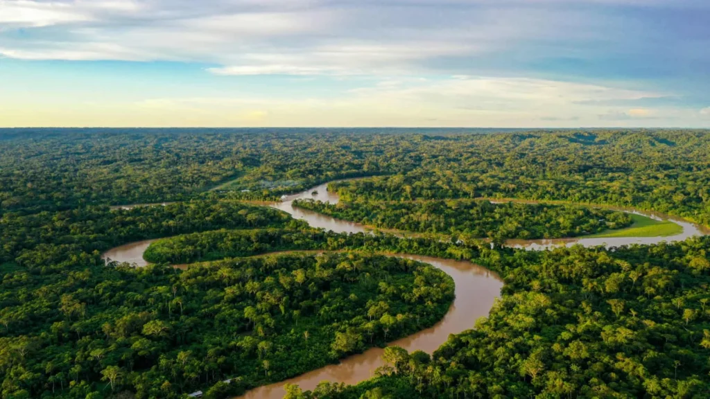 7 alimentos da Amazônia que turbinam sua saúde e energia 11 news 29542 1767202524