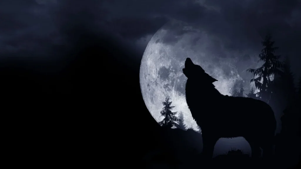 Superlua do Lobo: primeira de 2026 visível neste sábado 11 news 30155 1767450871