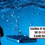 news 33002 1769418460