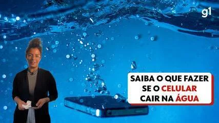 Celular Molhou? O Que Fazer e o Que NÃO Fazer para Salvar seu Smartphone 11 news 33002 1769418460